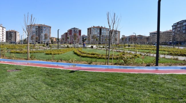 Şehir parkında çimlendirme çalışmaları tamamlandı