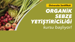 Organik sebze yetiştiriciliği kursu başlıyor