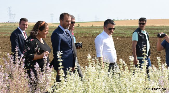 Tarım Bakanı Türam'ı ziyaret etti, mahalleleri gezdi