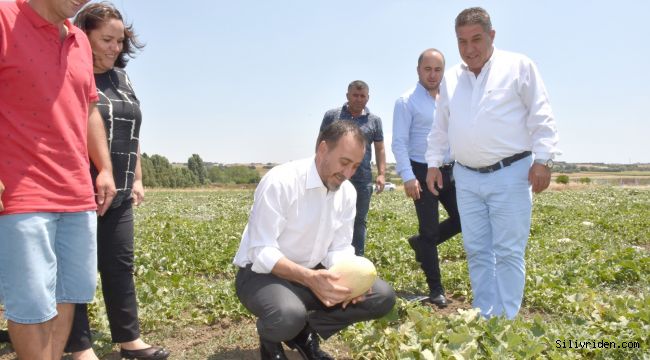 İlk kavunu Başkan Yılmaz topladı