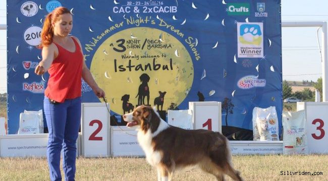Köpek ırkları Silivri'de yarışacak