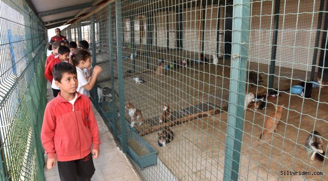 Minikler can dostlarımızı çok sevdi