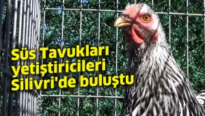 Süs Tavukları yetiştiricileri Silivri'de buluştu