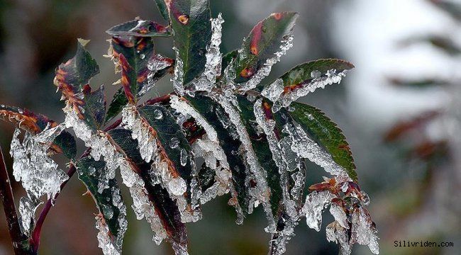 Meteorolojiden zirai don uyarısı