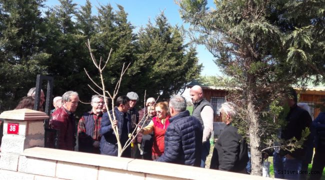 Silivrili çiftçilere budama eğitimi verildi