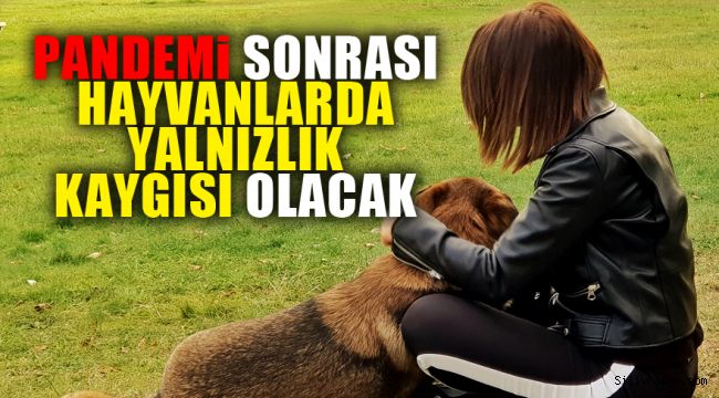 Pandemi sonrası hayvanlarda yalnızlık kaygısı olacak