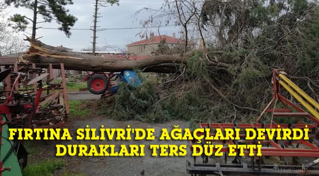 Şiddetli fırtına Silivri'de ağaçları devirdi