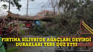 Şiddetli fırtına Silivri'de ağaçları devirdi