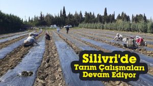 Silivri'de tarım çalışmaları devam ediyor