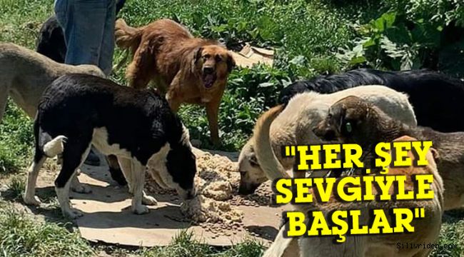 'Her şey sevgiyle başlar' ekibi bugün Silivri'ye geliyor!