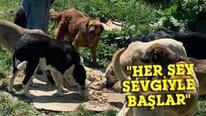 'Her şey sevgiyle başlar' ekibi bugün Silivri'ye geliyor!