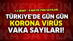 Türkiye'de gün gün korona virüs vaka sayıları! 