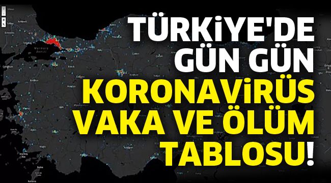 Türkiye'de gün gün koronavirüs vaka ve ölüm tablosu!