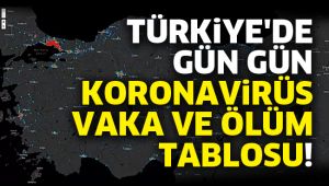 Türkiye'de gün gün koronavirüs vaka ve ölüm tablosu!