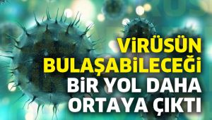 Virüsün bulaşabileceği bir yol daha ortaya çıktı 