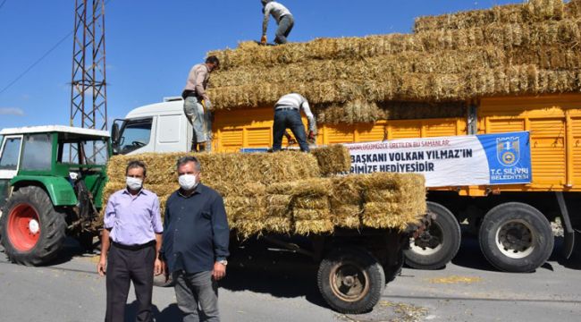 Belediyeden köylüye bedava saman