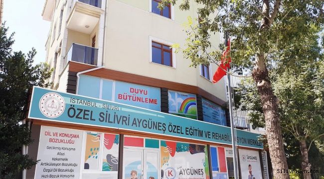 Dil ve Konuşma Terapisti Aygüneş’te hizmet vermeye başladı