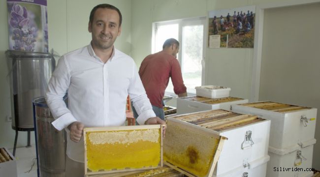 Silivri Belediyesi 450 kg bal üretti