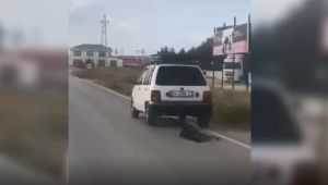 Silivri'de köpeği aracın arkasına bağlayıp sürükledi