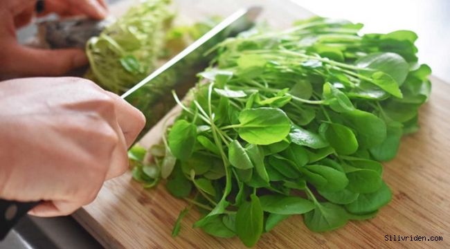 Yeşillik tüketmenin faydaları neler tere kansızlık için birebir