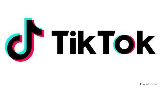 Tik Tok 2020’de ‘Güvenliğe’ odaklandı