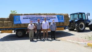 Saman bedava dağıtılıyor...