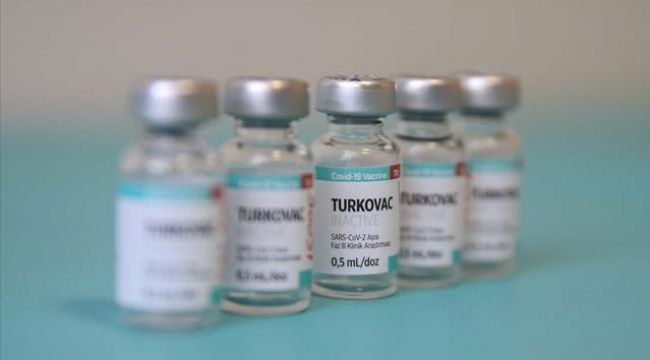 Turkovac aşısının Faz-3 sonuçları belli oldu: En az Coronavac kadar güvenli ve etkin bir aşı