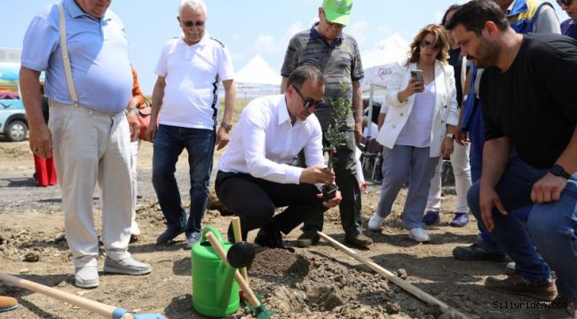 Silivri'de 5.100 adet yağlık zeytin fidanı toprakla buluştu 