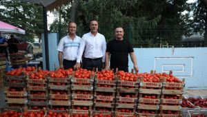 Değirmenköy'de domatesler yarıştı