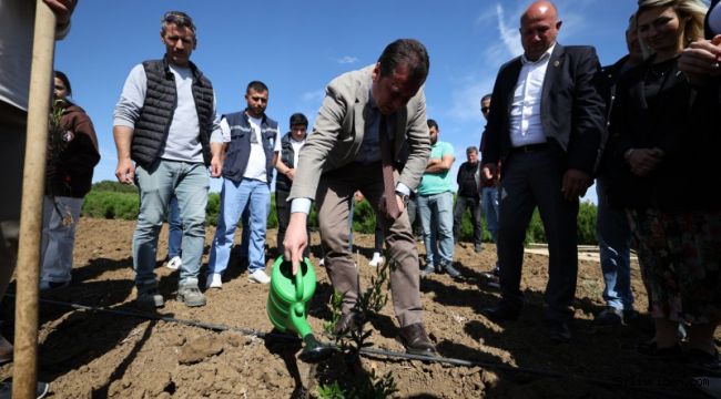 Silivri' de 14 mayıs dünya çiftçiler günü kutlamaları zeytin fidanlarıyla anlam buldu