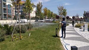 Park ve sosyal alanlarda haşere ilaçlaması