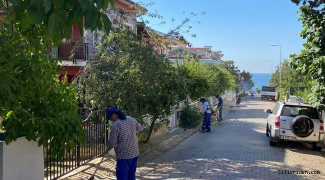 Silivri Belediyesi’nden park ve yeşil alanlara yoğun mesai