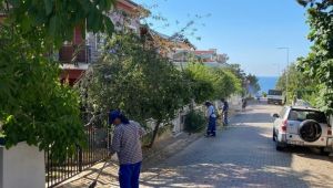 Silivri Belediyesi’nden park ve yeşil alanlara yoğun mesai