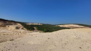 Danamandıra’da Taş Ocakları 150 dönümlük alanı yok etti