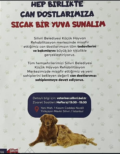 Silivri Kent Konseyi’nden sahiplendirme çağrısı