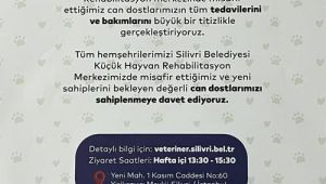 Silivri Kent Konseyi’nden sahiplendirme çağrısı