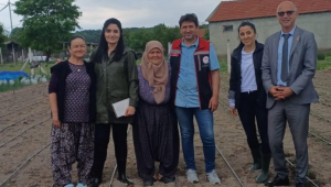 Hibe sebze fideleri toprakla buluştu