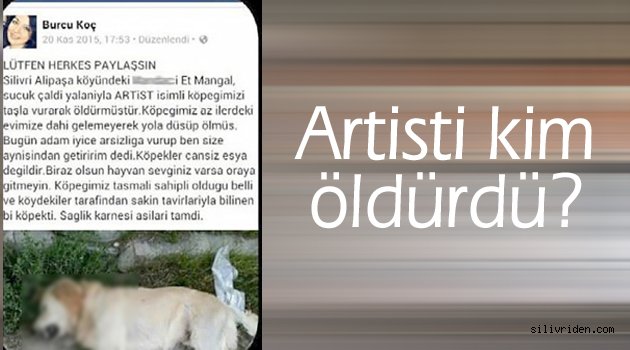 Artisti kim öldürdü?