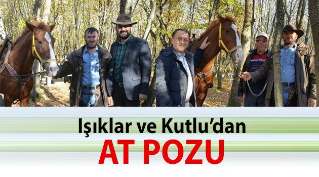 At pozu verdiler