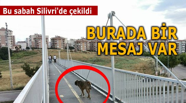 Burada bir mesaj var!..