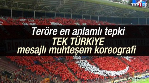 Galatasaraylı taraftarlardan anlamlı koreografi