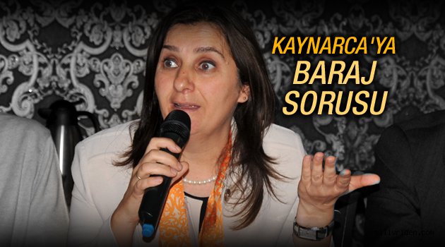 Kaynarca'dan 1 Kasım yorumu