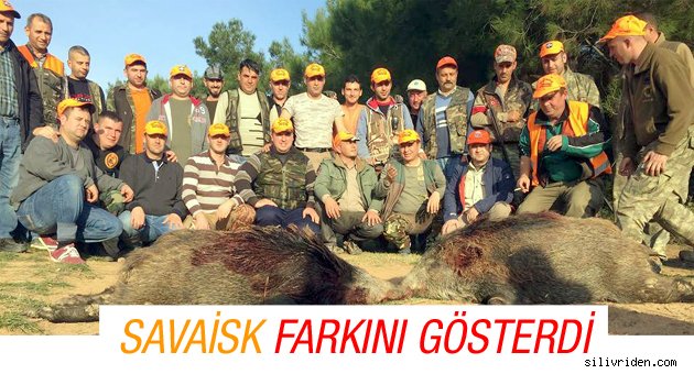 Silivri'den Çanakkale'ye domuz avına