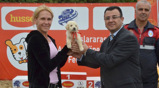 Sokak hayvanları sahiplendirildi
