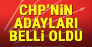 CHP milletvekili adayları kesinleşti