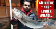 Silivri'de 1 metrelik levrek