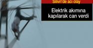 Elektrik akımına kapılarak can verdi