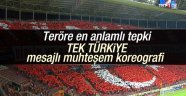 Galatasaraylı taraftarlardan anlamlı koreografi