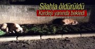 Silahla köpek öldüren köpekler!