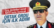 Türk orduları birleşiyor mu?